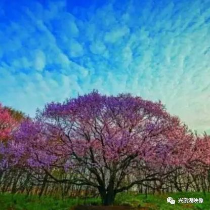 兴凯湖的微信风景头像——唯美大气,请您选用