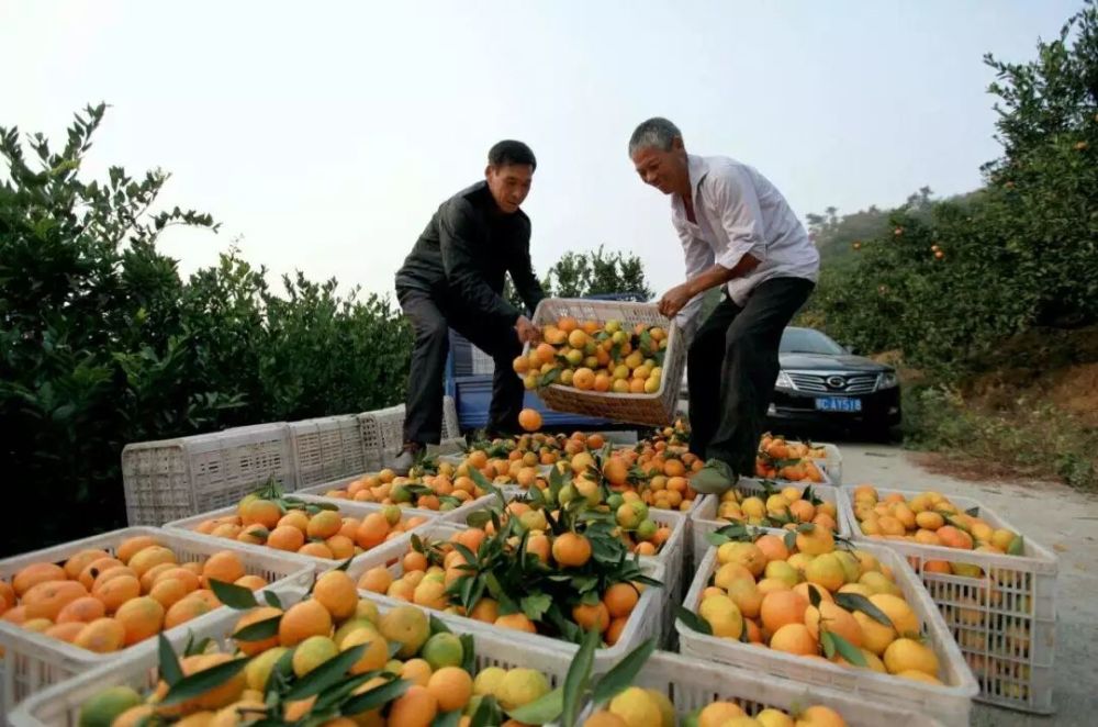 侠客岛:中央提出要给基层减负,到底该怎么减?