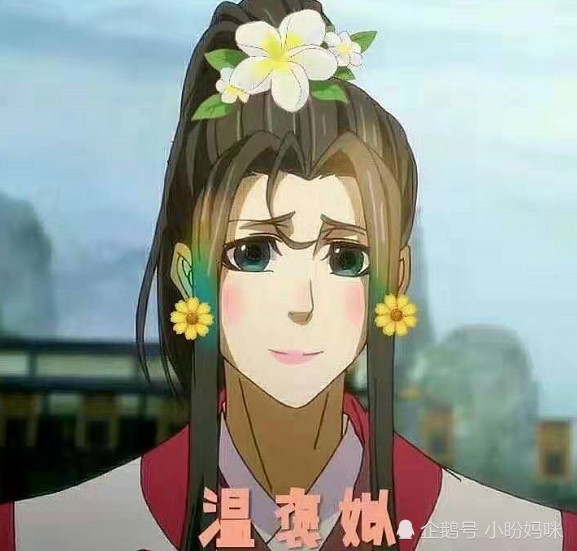 魔道祖师:当世家公子变成四大美人,网友:这样沙雕你