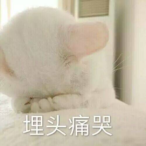 可爱萌娃表情包,你是想要气死我这个小女孩吗,哭唧唧.