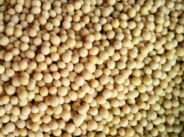 640