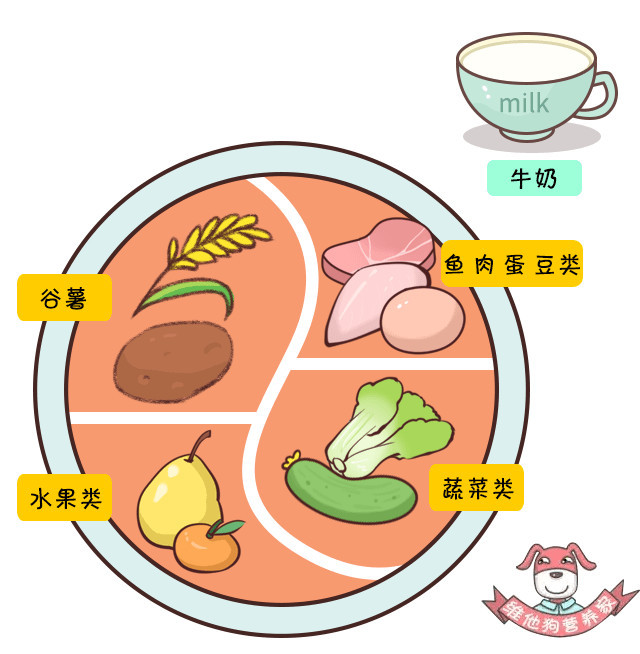 这样安排平衡膳食,营养师都要失业了