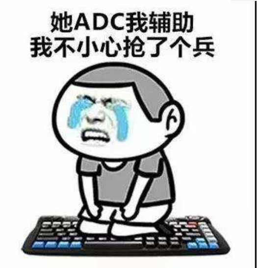 lol辅助专用表情包:学医救不了adc