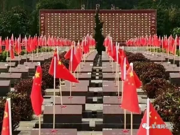 今天,崇左龙州烈士陵园:全体军人单膝下跪,迎接448团