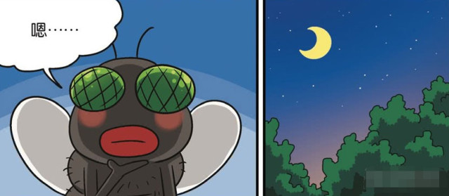 640