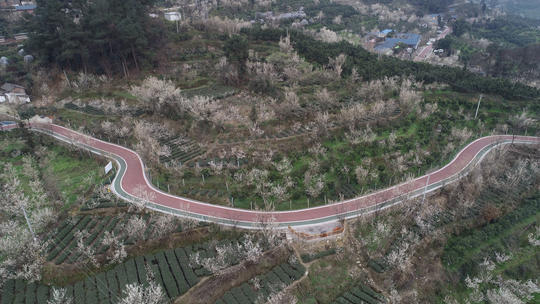 蒲江县多少人口_蒲江县樱桃山风景区(2)