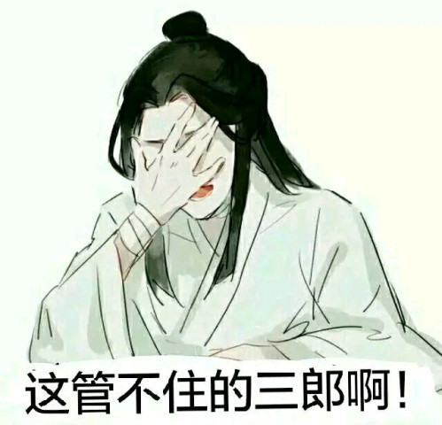 然后是风师娘娘和地师明仪的表情包,大家都知道地师一直都是黑水