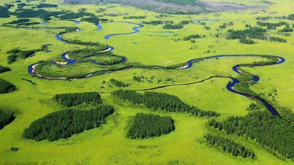 在南瓮河宏大的林莽与湿地景象面前,深深感触到一种从无经历过的强烈