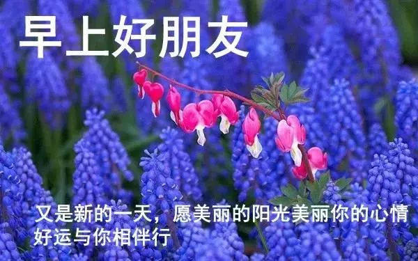 周五早上好祝福漂亮图片带字 清晨早上好问候动图说说