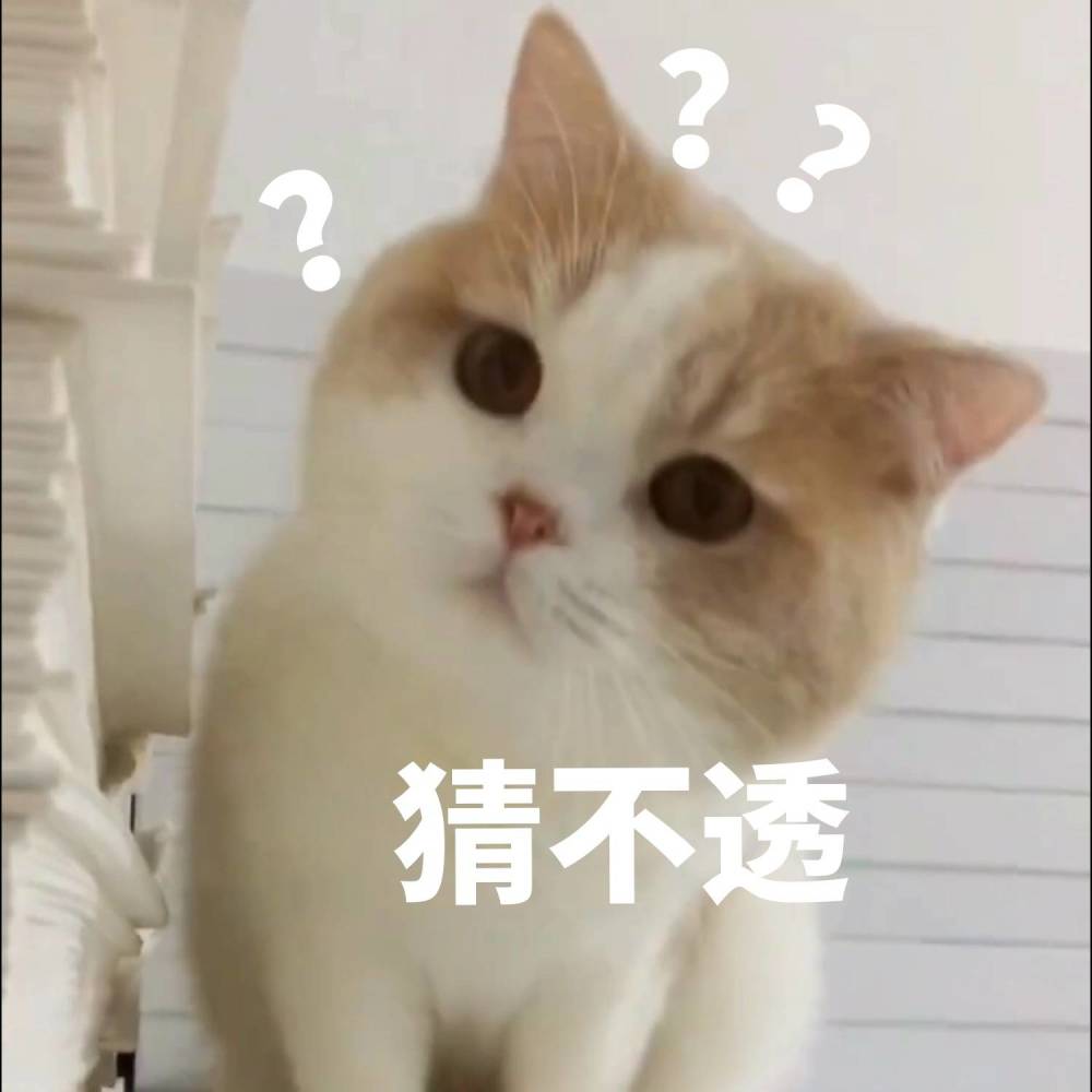 表情包,可爱猫咪:你不喜欢我,这是病,得治