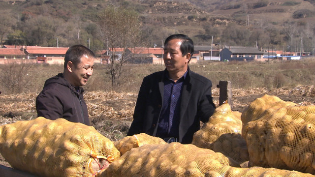 山西岚县土豆种土豆花土豆宴土豆变成金蛋蛋致富千万家