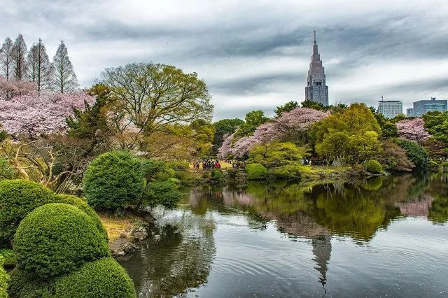 保姆级赏樱攻略:教你如何玩转2019年樱花季