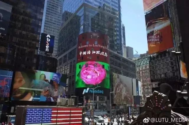 洛阳长往人口_洛阳师范学院长图