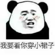 表情包|我也想秒回你,可你让我说什么