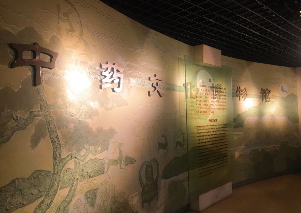 千年药都典藏着中华优秀历史文明 中药文化博物馆 记载着中华中医药文