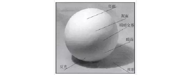 想学好素描？这20个问题你必须先解决！ 