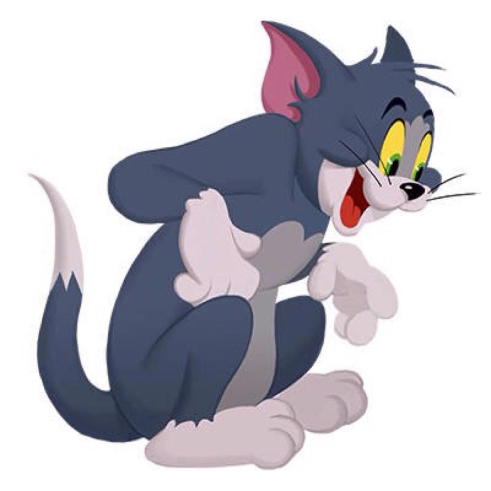 藏着人生哲理的动漫,《猫和老鼠》上榜,看似搞笑但是