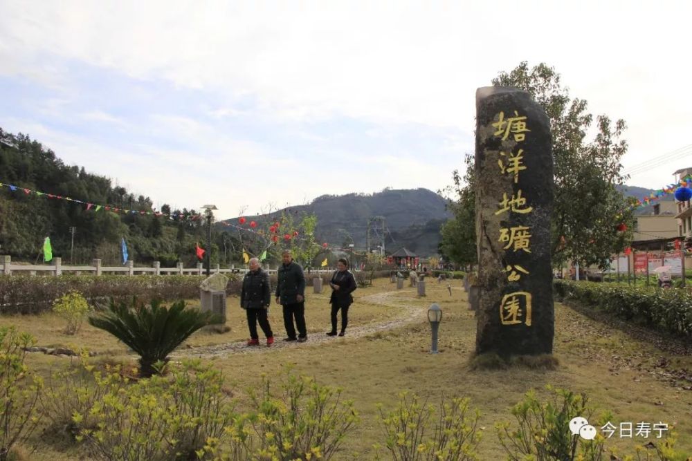 寿宁武曲人口_寿宁鼠曲饼图片(3)