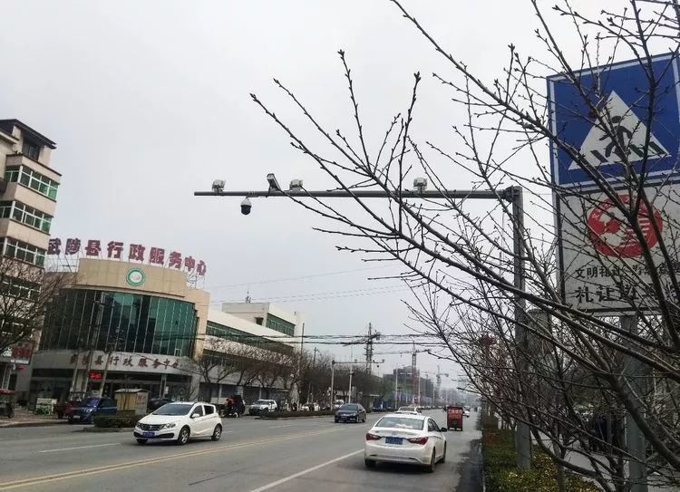 武陟县城区交通出行指南,限行,禁行一目了然!