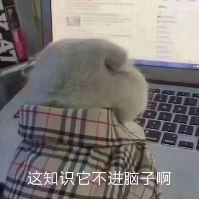 最近超喜欢的沙雕表情包