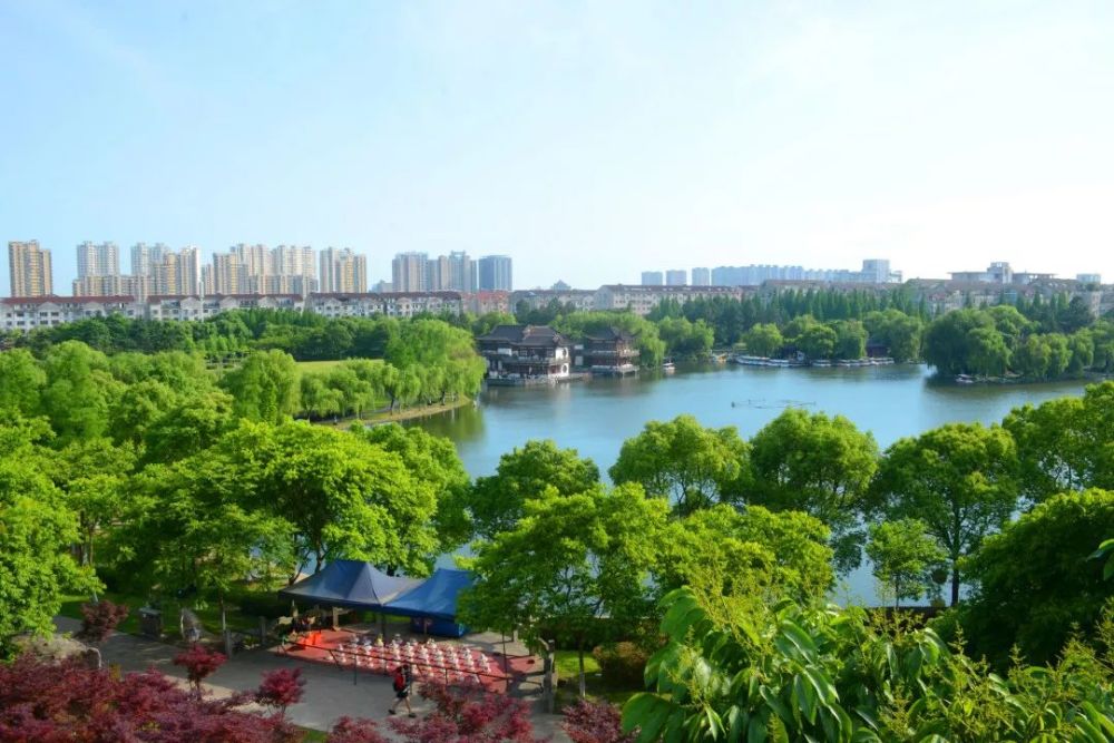 桐乡多少人口_桐乡凤凰湖(2)