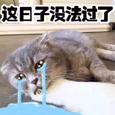 遇到伤心的事了,这日子没发过了