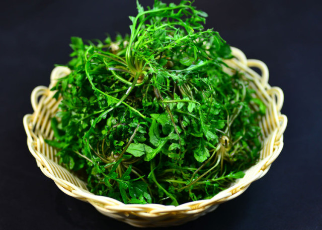 又到吃野菜的季节,这3种野菜被称为"天然钙菜",孩子们