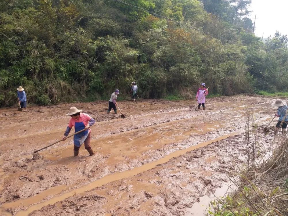 去年镇平就gdp_镇平一高图片(3)