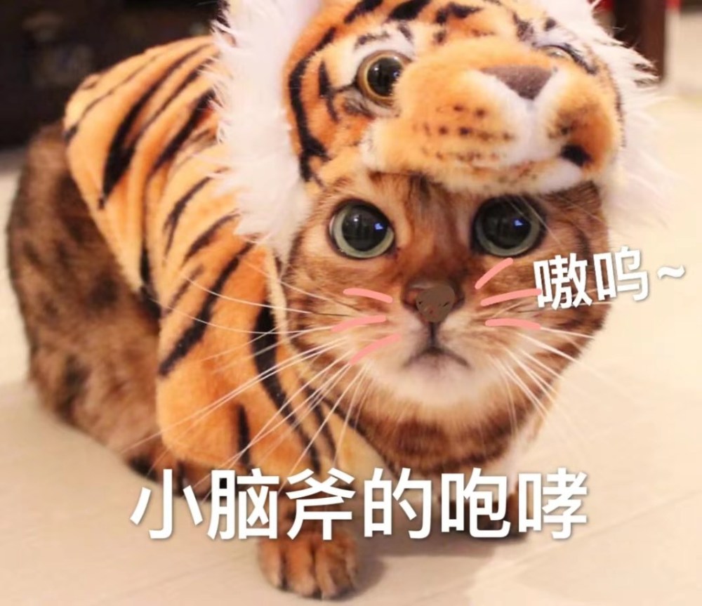 嗷呜,我可是很凶的,看到的的咆哮了吧
