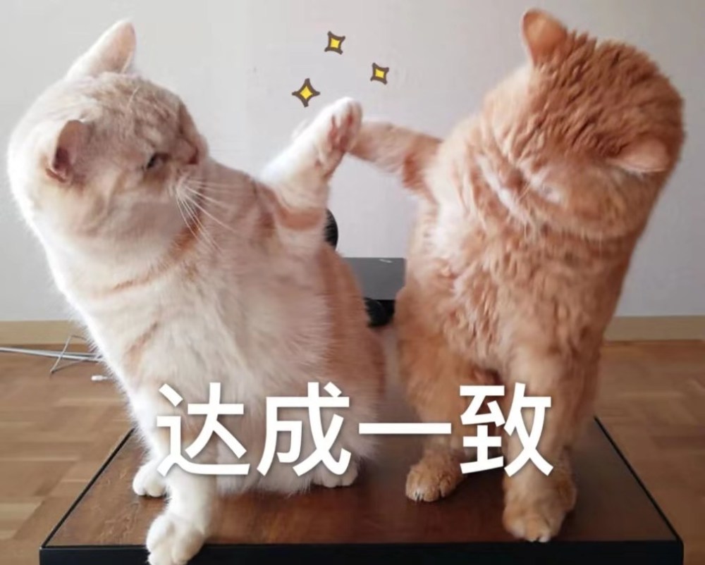 最近火了沙雕猫咪表情包,沙雕网友收图吧