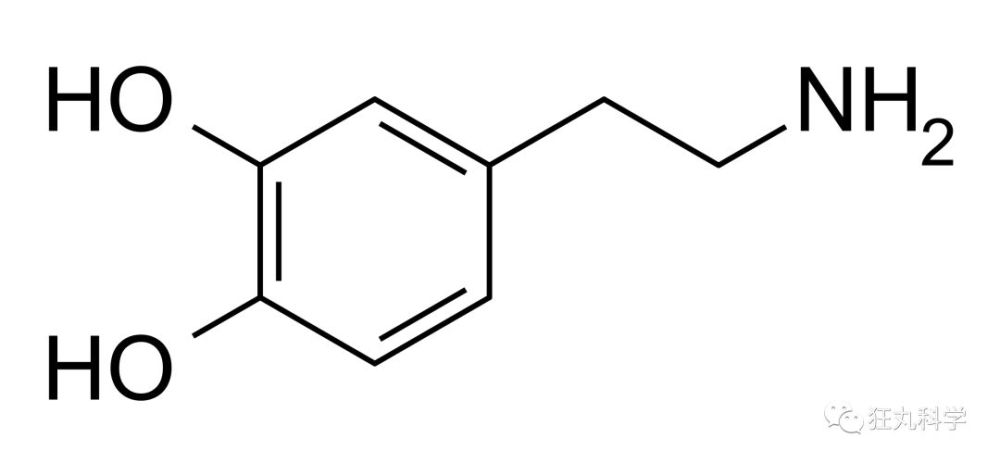 多巴胺结构