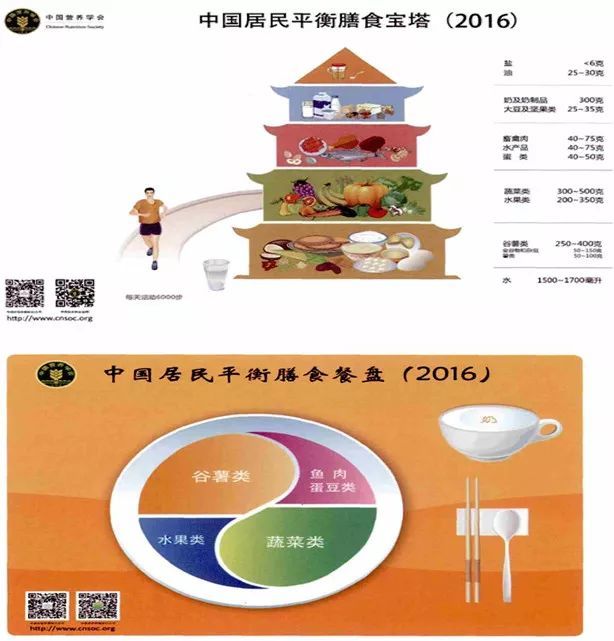 2016年发布的《中国居民膳食指南》推荐了在营养上比较理想的膳食模式