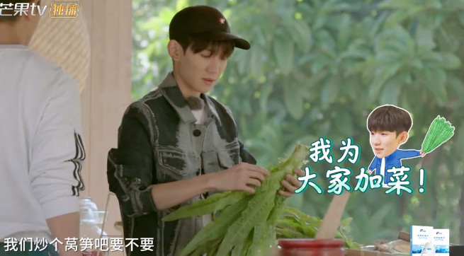王源杨超越争论不休,莴笋到底吃叶子还是吃根