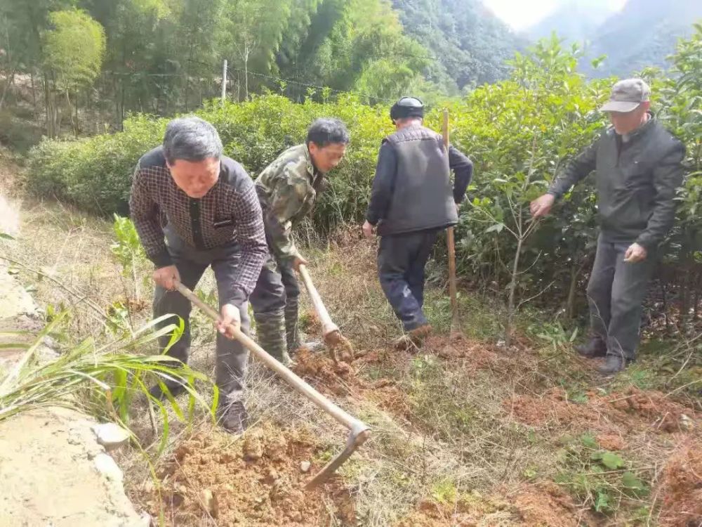 人口尖锋_尖锋之烈焰青春
