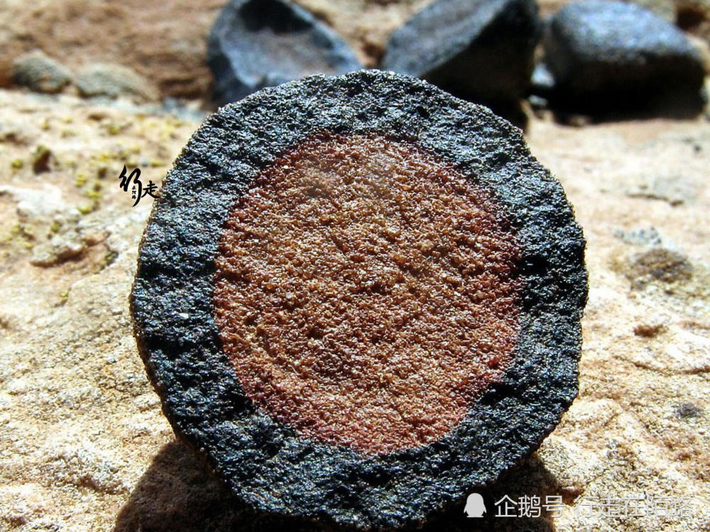 最常见的"结核石:世界各地都有,美国教授却建议封锁