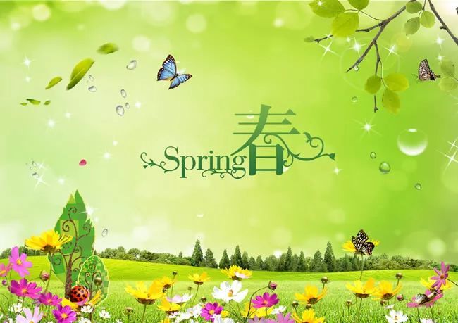 关于春天的成语有什么_关于春天的成语