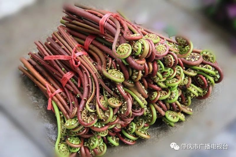 鲜芋仙人均_鲜芋仙(2)