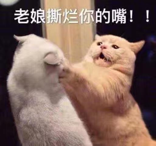 作为一个别人眼中乐观的人,大概就是你上吊快死了,大家还以为你在荡