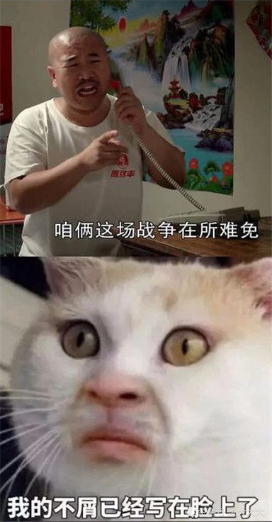 撒娇·女生·表情包:你说吧反正我不听,我的不屑已经写在了脸上