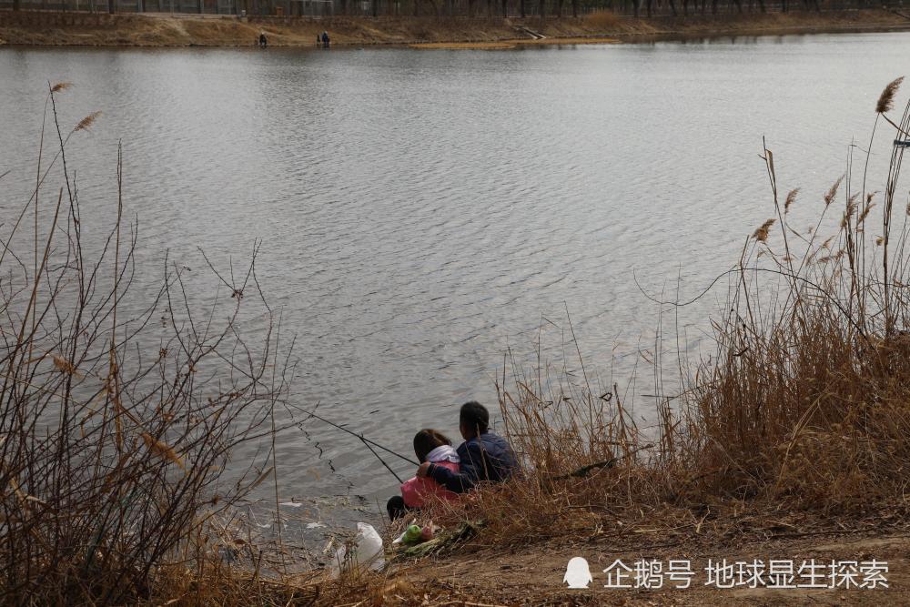 北京上庄水库湿地公园:距离市中心仅二十公里的休闲