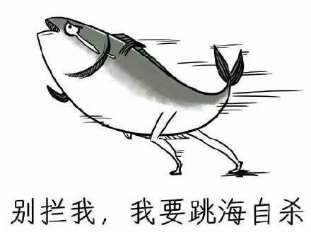 韓國高中生抗議樸槿惠 意外引發(fā)中國網(wǎng)友共鳴