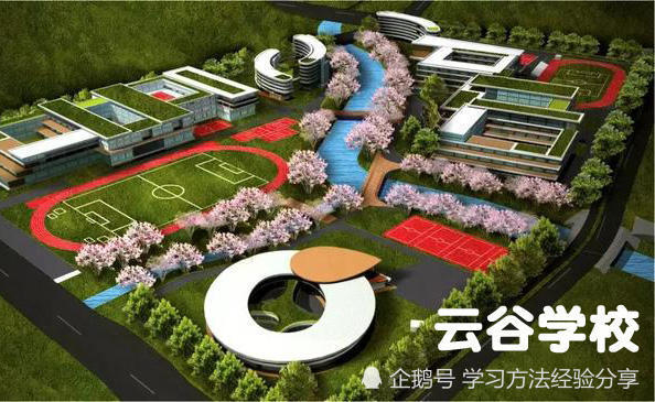 而且在创办之初就表示不会把云谷学校办成贵族学校,可以从幼儿园读到