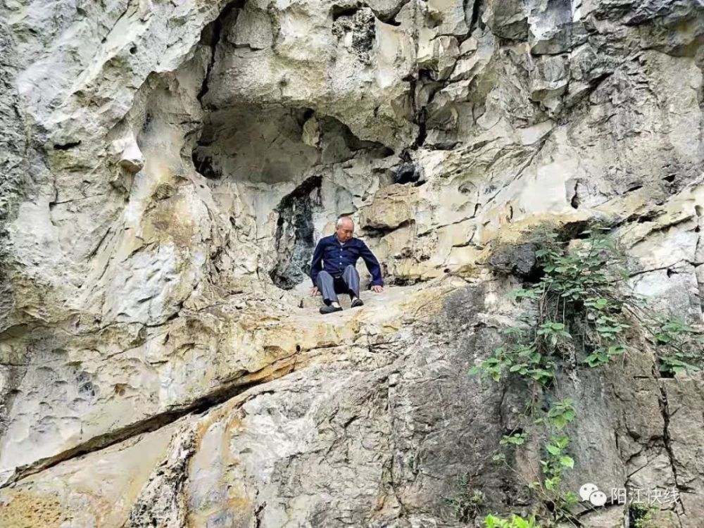 阳江人口历史_阳江红色历史图片