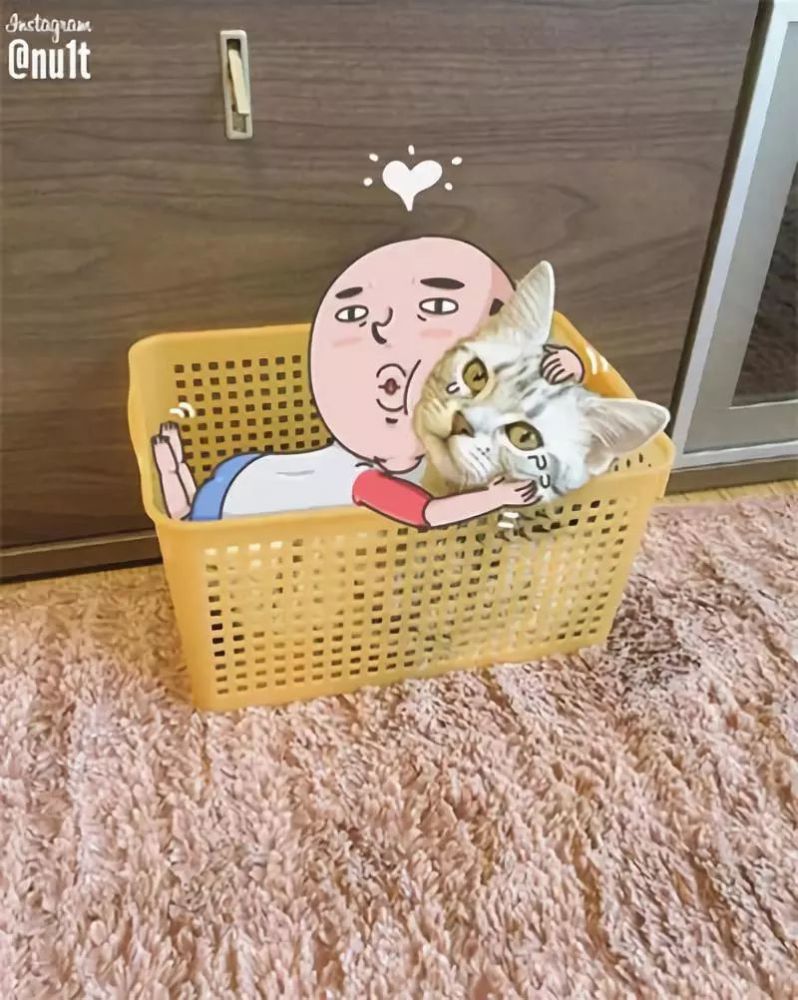 插画 重口味又小清新,这位韩国大叔太反差萌了吧!