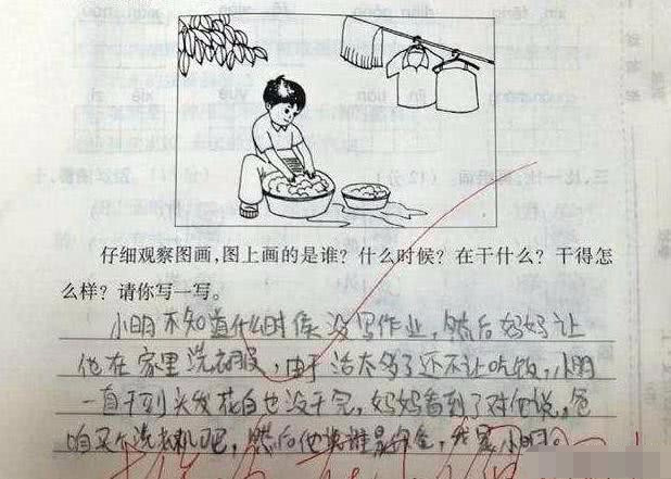 人口一段话_人口普查图片