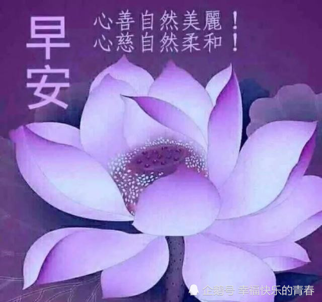 微信正能量早上好问候语精选 经典暖心的早安祝福语