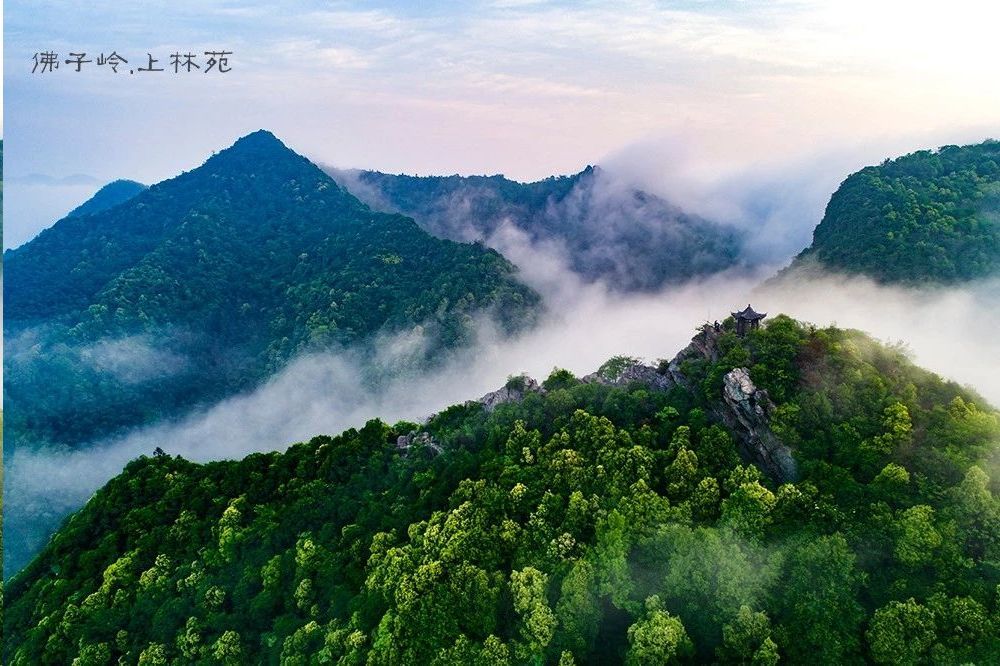 春光易逝,莫负佛子岭上林苑的好山,好水,好春光!