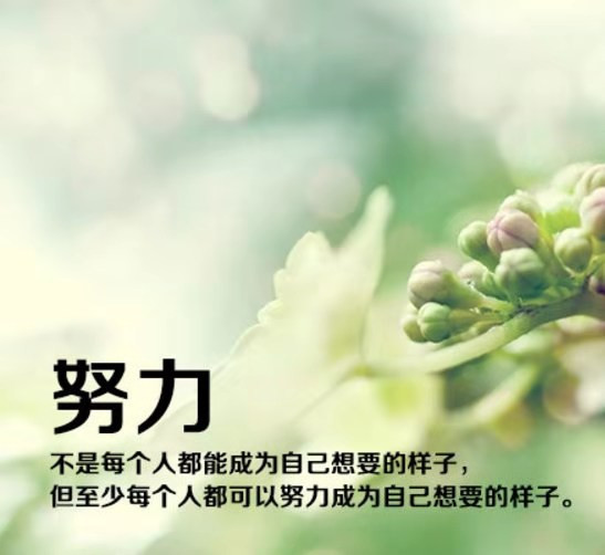 积极阳光正能量的说说,温馨有格调,句句激励人心
