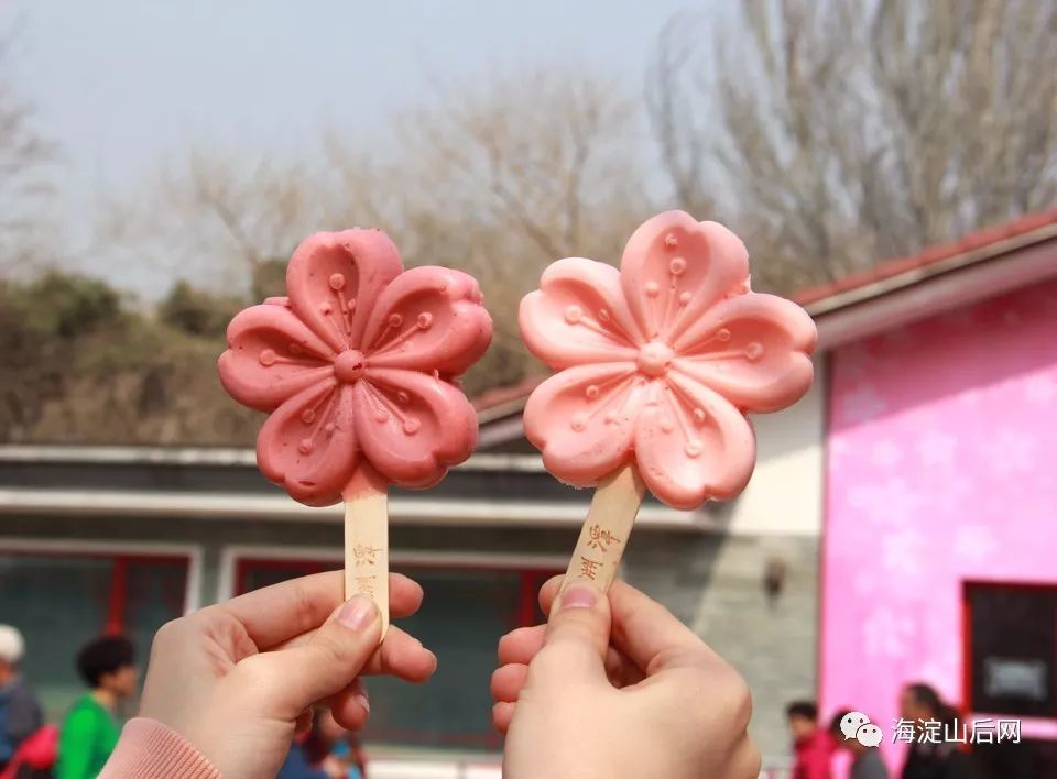 好美!玉渊潭樱花节来了,竟然还有樱花冰琪淋,你吃过吗?