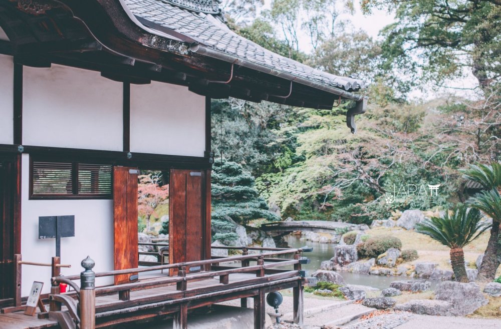 再过半个月 这里将迎来最美的赏樱时刻 留一整天给这里都不过分 看点快报